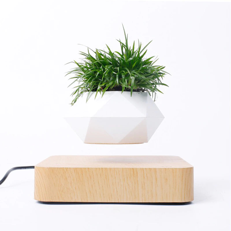 Levitating Air Bonsai Flower Pot