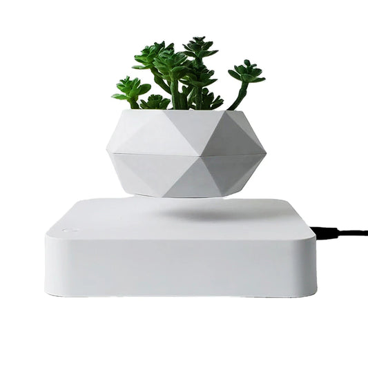 Levitating Air Bonsai Flower Pot